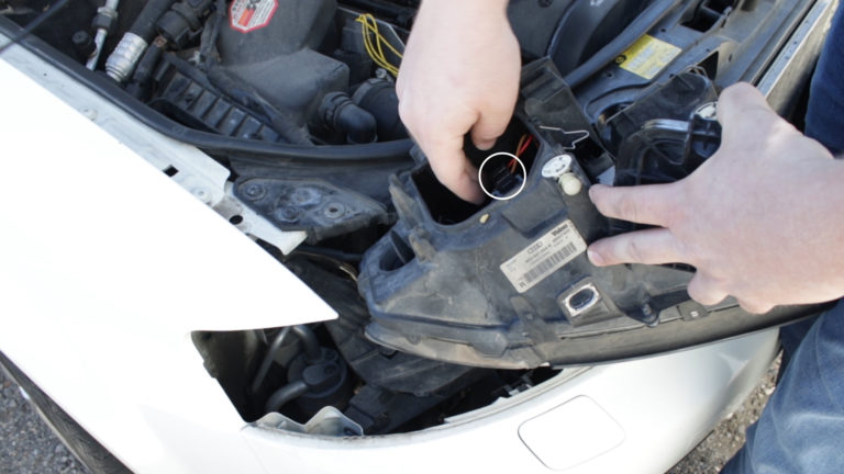 Remove Bulb holder